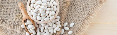 Xuhuang 생물학적 주요 제품 - 화이트 신장 콩 추출물