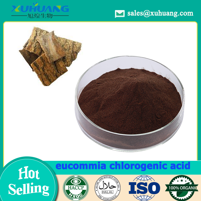 Eucommia 클로로겐산