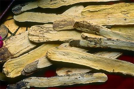 Astragalus 뿌리 추출물 분말
