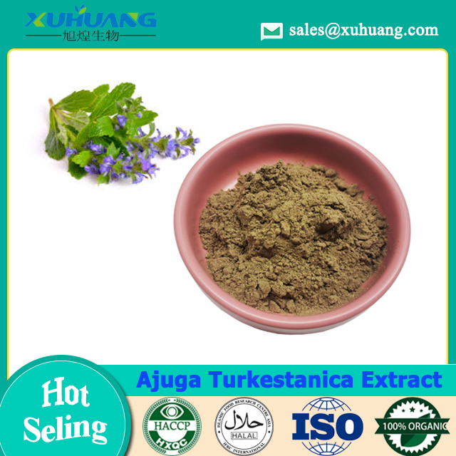 아주가 Turkestanica 추출물 Turkesterone