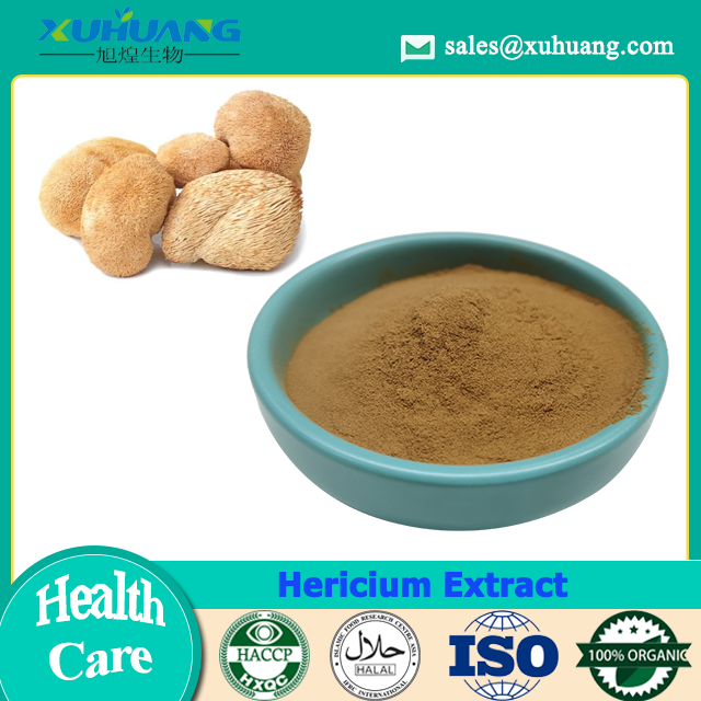 HERICIUM ERINACEUS 버섯 추출물